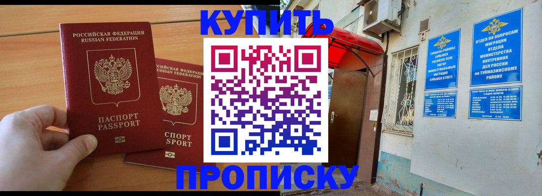 прописка штамп в Тереке